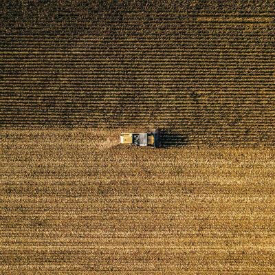 Wheat Closes Mixed on Wednesday, with Spring Wheat Heading Higher